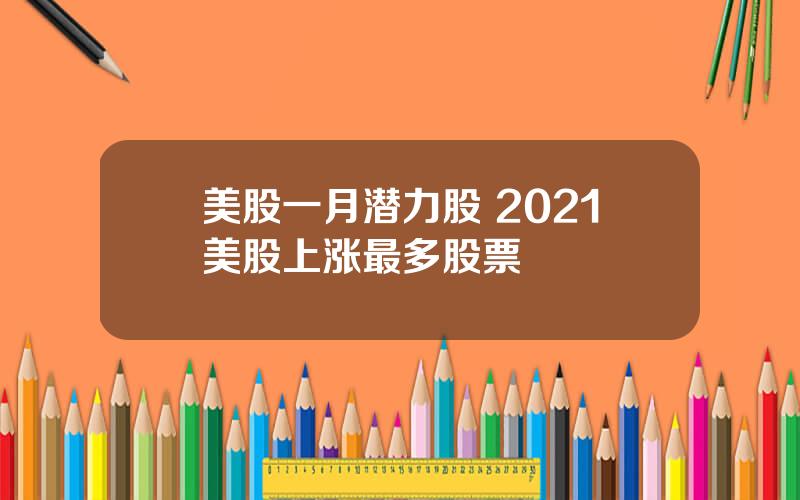 美股一月潜力股 2021美股上涨最多股票